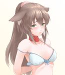  animal_ears arms_behind_back blue_bra blush bra breasts brown_hair collar dog_ears ears_down green_eyes long_hair looking_at_viewer original ponytail simple_background small_breasts solo strap_slip tsukiyo_umi underwear undressing upper_body 