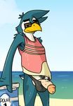  avian bird clothing eyewear giovanni_(fursona) glasses kaisertaylorproducts male penguin penis sea swimsuit water 