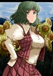  arched_back blue_sky blurry blush breasts cloud collared_shirt cowboy_shot day depth_of_field flower garden_of_the_sun green_eyes green_hair hand_on_hip highres hips kazami_yuuka large_breasts letterboxed light_frown long_sleeves looking_at_viewer mountain open_clothes open_collar open_vest plaid plaid_skirt plaid_vest shirt short_hair skirt sky solo standing sunflower tenko_(gintenko) touhou vest wavy_hair white_shirt wind 