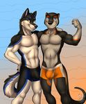  2016 abs anthro biceps bulge canine clothing male mammal mustelid otter pecs solo stormwolff underwear vallhund 