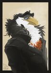  2016 avian beak bird black_feathers blue_eyes bombird clothing feathers fluffy jacket male solo 