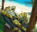  2016 6graycloudp abs anthro beach biceps clothing feline fur male mammal muscular nipples one_eye_closed pecs seaside swimsuit tiger wink 