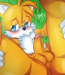  2016 anthro balls canine erection fox male mammal miles_prower penis solo sonic_(series) syaokitty 