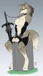  bound canine chain collar dark_souls female fur great_grey_wolf_sif grey_fur invalid_color mammal melee_weapon solo sword tombstone weapon 