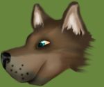  black_nose canine dog fur headshot_portrait mammal multicolored_fur portrait two_tone_fur 
