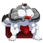  anthro belly big_belly big_bulge bulge canine clothing hyper hyper_muscles male mammal musclegut muscular muscular_male nintendo nintendo_ds open_mouth siriusdog sitting solo underwear video_games 