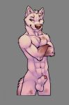  2018 abs animal_genitalia animal_penis anthro balls brown_fur canine canine_penis crossed_arms fur grin knot knot_in_sheath male mammal navel nude penis penis_tip red_eyes sheath simple_background smile solo standing tsaiwolf white_fur wolf 