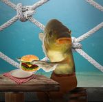  burger fish food male marine nickelodeon real solo spongebob_squarepants 