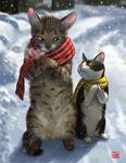  bad_id bad_pixiv_id cat cat_focus commentary kitten matataku no_humans original scarf signature snow snowing 