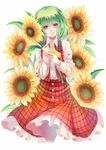  ascot flower green_hair kazami_yuuka ling_(vivianling) long_sleeves looking_at_viewer open_clothes open_vest plaid plaid_skirt plaid_vest red_eyes shirt skirt skirt_set smile solo sunflower touhou vest 