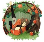  apple arm_up asymmetrical_clothes brown_hair food fruit gloves goggles goggles_on_head green_eyes leg_up one_eye_closed rita_mordio short_hair tales_of_(series) tales_of_vesperia tama_._kogifu 