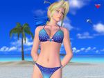  3d beach bikini blonde_hair blue_eyes blue_ribbon day dead_or_alive hair_ribbon helena_douglas long_hair ribbon solo swimsuit 