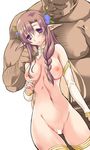  1girl :o alternate_hair_color ass_visible_through_thighs braid breasts brown_hair chest_hair contrapposto detached_collar detached_sleeves elf fat fat_man flower hair_flower hair_ornament kumacchi long_hair long_pointy_ears medium_breasts navel nipples obese original panties pointy_ears purple_eyes purple_hair simple_background standing table thighhighs ugly_man underwear wall white_background 