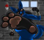  2016 3_toes anthro butt foot_focus fur kick looking_at_viewer lucario muscular nintendo pok&eacute;mon pose punching_bag red_eyes solo toes video_games wall window zp92 