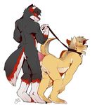  aestas_(character) alex_dowski anal anal_penetration anthro balls canine chatonbleu collar dog duo leash male male/male mammal penetration penis wolf 