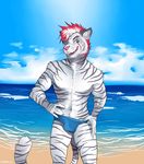  2014 5_fingers anthro beach blue_eyes bulge chest_tuft clothing detailed_background fangs feline fur furlana hair inner_ear_fluff looking_at_viewer male mammal mohawk muscular navel pink_nose pubes red_hair sand scar seaside short_hair standing swimming_trunks swimsuit teeth tiger tounge_out tuft water watermark white_fur white_hair 