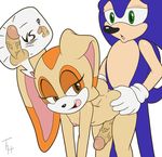  anal anal_penetration anthro areola balls breasts cream_the_rabbit dickgirl dickgirl/male duo erect_nipples erection flat_chested hedgehog intersex intersex/male lagomorph male mammal nipples nude penetration penis puffy_nipples rabbit sex sonic_(series) sonic_the_hedgehog the_other_half 