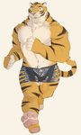  disney feline male mammal the_farewelled tiger zootopia 