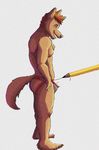  2016 5_toes anthro brown_eyes brown_fur brown_hair bulge butt canine chest_tuft claws clothing colfax drawing fangs fur hair inner_ear_fluff jockstrap mammal muscular nipples open_mouth pencil penis smile standing teeth toes tuft underwear wolf 