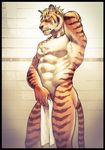  abs butt colored emboss0320 feline looking_at_viewer male mammal muscular nude pecs shower simple_background solo tiger towel 