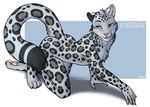  2016 accelo anthro cat feline fur kieran leopard male mammal pawpads paws simple_background snow_leopard solo spots 