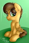  cremedelaclop_(artist) equine fan_character horse male mammal my_little_pony pony sitting smile solo 