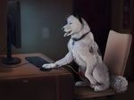  balls canine cum dog feral male mammal masturbation orgasm penis sitting solo tongue virtyalfobo 