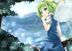  daiyousei fairy_wings forest green_eyes green_hair hair_ribbon hand_on_own_chin highres in_tree lake light_particles looking_at_viewer looking_back mountain nature open_mouth outdoors puffy_short_sleeves puffy_sleeves ribbon short_hair short_sleeves side_ponytail sinkai sitting skirt skirt_set solo touhou tree wings 