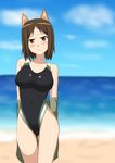  animal_ears breasts brown_eyes brown_hair competition_swimsuit dog_ears hachimitsu-b kadomaru_misa medium_breasts one-piece_swimsuit short_hair solo standing swimsuit world_witches_series 