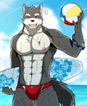  abs anthro beach_ball bearlovestiger13 biceps canine chest_tuft clothing fur male mammal muscular nipples pecs red_eyes seaside solo swimsuit tuft wolf 