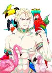  abs absurdres animal animal_on_shoulder armband bad_id bad_pixiv_id bird bird_on_shoulder blonde_hair boorunrun dio_brando dodo_(bird) earrings flamingo groin highres jewelry jojo_no_kimyou_na_bouken male_focus muscle navel neck_ring parrot pointy_ears red_eyes shirtless solo toucan upper_body 