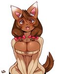 anthro big_breasts breasts brown_hair canine cleavage clothed clothing cute dog fangs female hair hi_res keyhole_turtleneck legwear lightsource looking_at_viewer mammal open_mouth simple_background skirt smile solo sweater white_background 