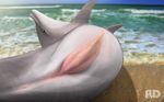  anatomically_correct animal_genitalia anus bestiality bottlenose_dolphin cetacean dolphin erection feral fld male mammal marine penis realistic sea seashore solo water 