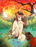  autumn autumn_leaves barefoot bird blue_eyes brown_hair building cat emodelas frog highres leaf legs lily_pad long_hair maple_leaf nature nude original paddling pond sitting smile solo sunlight tree very_long_hair water 