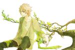  blonde_hair branch cardigan full_body green ha.skr_(hasukara) highres looking_away male_focus original scarf sitting smile solo 