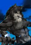  abs anthro biceps canine clothed clothing fur looking_at_viewer male mammal muscular pants pecs puzzle solo topless wbcat wolf yellow_eyes 