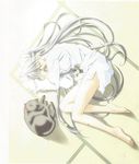  absurdres artist_request cat highres long_hair my_merry_may_be reu_(my_merry_may_be) shirt silver_hair sleeping solo very_long_hair 