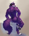  anthro canine digital_media_(artwork) folf fox hybrid looking_back male mammal muscular shyloc solo wolf xuan_sirius 