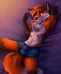  2016 anthro blush bulge canine clothing fox fur hair male mammal rileyy shy smile solo underwear 