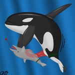  &lt;3 cetacean dolphin mammal marine open_mouth orca orcaxdragon size_different whale 