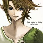  aikashouryou blue_eyes brown_hair grin link lowres male_focus pointy_ears smile solo the_legend_of_zelda typo 