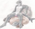  anthro balls casual fish flaccid invalid_tag male marine multi_penis nake nude penis samareck shark sitting spreading 