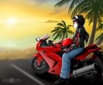  abluedeer black_hair boots clothed clothing detailed_background feline footwear fur hair male mammal motorcycle mountain palm_tree red_fur red_tail sand seaside sitting striped_fur stripes sunset tiger tree water watermark 