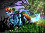  2014 blue_feathers blue_fur cloud cutie_mark equine feathers female feral friendship_is_magic fur grass hair hi_res looking_at_viewer mammal multicolored_hair multicolored_tail my_little_pony nature nemo2d outside pegasus purple_eyes rainbow_dash_(mlp) rainbow_hair rainbow_tail sky smile solo tree wings 