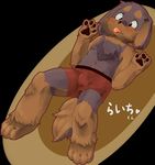  4_fingers 4_toes anthro black_fur boxers_(clothing) brown_fur bulge canine chest_tuft clothing dog fur lying male mammal ontsuna simple_background soloe toes tongue tongue_out tuft underwear 