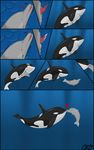  &lt;3 cetacean cum dolphin mammal marine open_mouth orca orcaxdragon vore whale 
