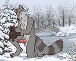  2016 anatomically_correct animal_genitalia anthro balls bridge canine chewycuticle coontail erection fur hood looking_at_viewer male mammal mask nude penis petplay pond raccoon roleplay rubber sheath snow solo stripes winter wolf 