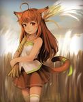  animal_ears blush brown_hair cat cat_ears cat_tail highres long_hair looking_at_viewer original red_eyes segamark smile solo tail wheat 