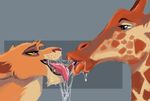  disney drooling extreme_french_kiss feline female female/female feral french_kissing giraffe interspecies kissing lion lips mammal messy saliva saliva_string slobber the_lion_king tongue ungulatr vitani 