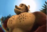  all_hail_king_julien big_muscles bouncing dreamworks flexing lemur madagascar male mammal muscular pec_bouncing pec_flexing pecs primate sage_moondancer 